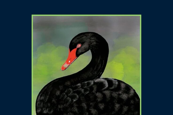 La fame del Cigno di Luca Mercadante - ilRecensore.it