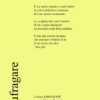 Naufragare di Francesco campagna - ilRecensore.it