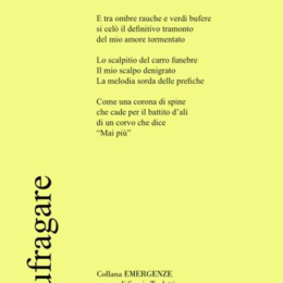 Naufragare di Francesco campagna - ilRecensore.it