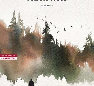 Quando le gru volano a sud di Liza Ridzén - ilRecensore.it